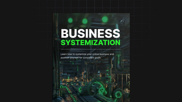 Business Systemization